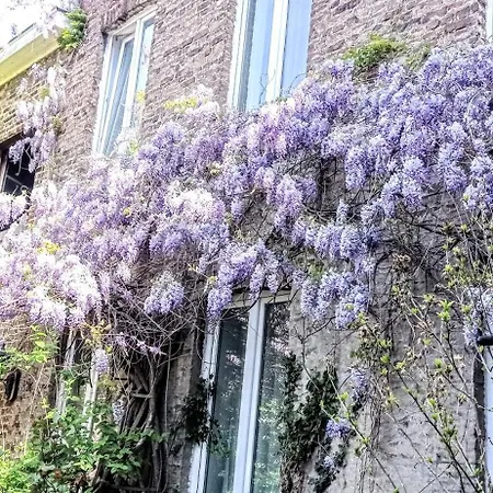 Apartament Lairesse *